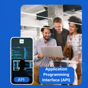 Application Programming Interface (API) - $1000
