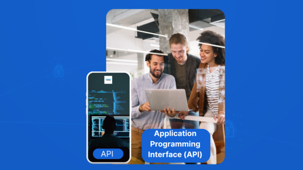 Application Programming Interface (API) – $1000 – Tune-Up Skills